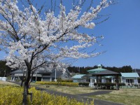 /album/%e3%83%95%e3%82%a9%e3%83%88%e3%82%ae%e3%83%a3%e3%83%a9%e3%83%aa%e3%83%bc/cimg3093-jpg/