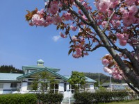 /album/%e3%83%95%e3%82%a9%e3%83%88%e3%82%ae%e3%83%a3%e3%83%a9%e3%83%aa%e3%83%bc/cimg3280-jpg/