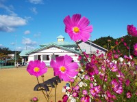 /album/%e3%83%95%e3%82%a9%e3%83%88%e3%82%ae%e3%83%a3%e3%83%a9%e3%83%aa%e3%83%bc/dscf8142-jpg/