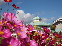 /album/%e3%83%95%e3%82%a9%e3%83%88%e3%82%ae%e3%83%a3%e3%83%a9%e3%83%aa%e3%83%bc/dscf7874-jpg/