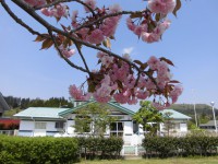 /album/%e3%83%95%e3%82%a9%e3%83%88%e3%82%ae%e3%83%a3%e3%83%a9%e3%83%aa%e3%83%bc/cimg3279-jpg/