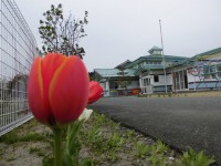 /album/%e3%83%95%e3%82%a9%e3%83%88%e3%82%ae%e3%83%a3%e3%83%a9%e3%83%aa%e3%83%bc/cimg3145-jpg/